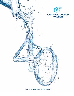 2013 Cover Image