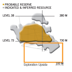 Goldex Diagram