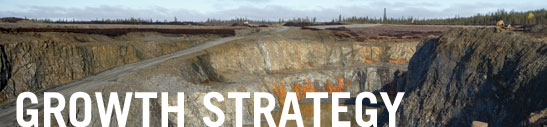 Growth Strategy