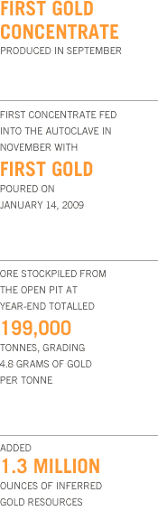 2008 in Review