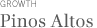 Pinos Altos
