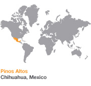 Pinos Altos mine