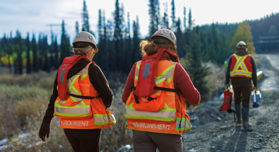 Three environmental workers in safety gear walking along a dirt path, with trees and foliage lining the sides.