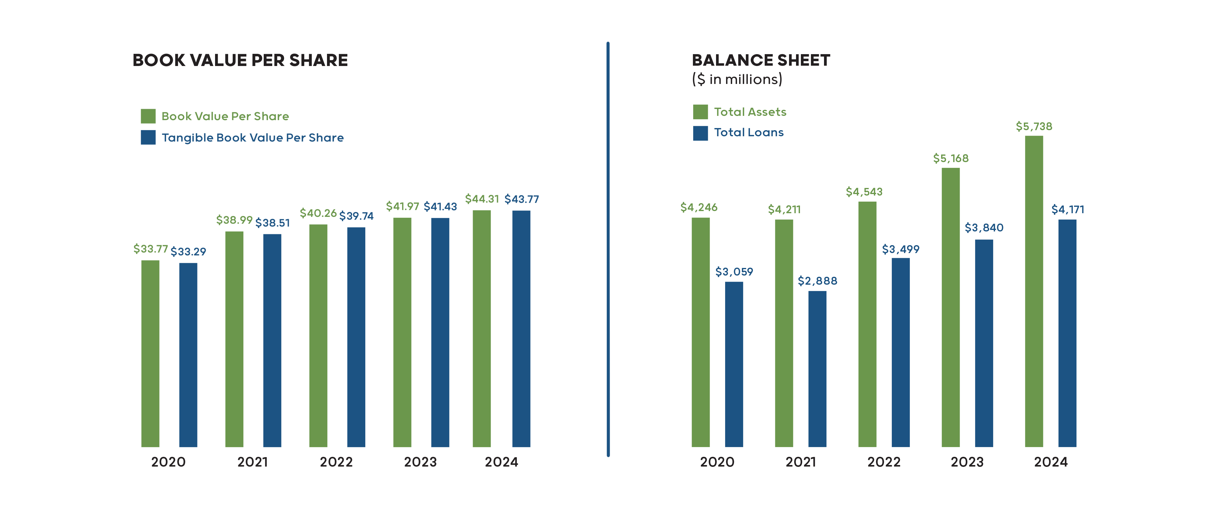 Book Value Per Share and Balance Sheet 2024